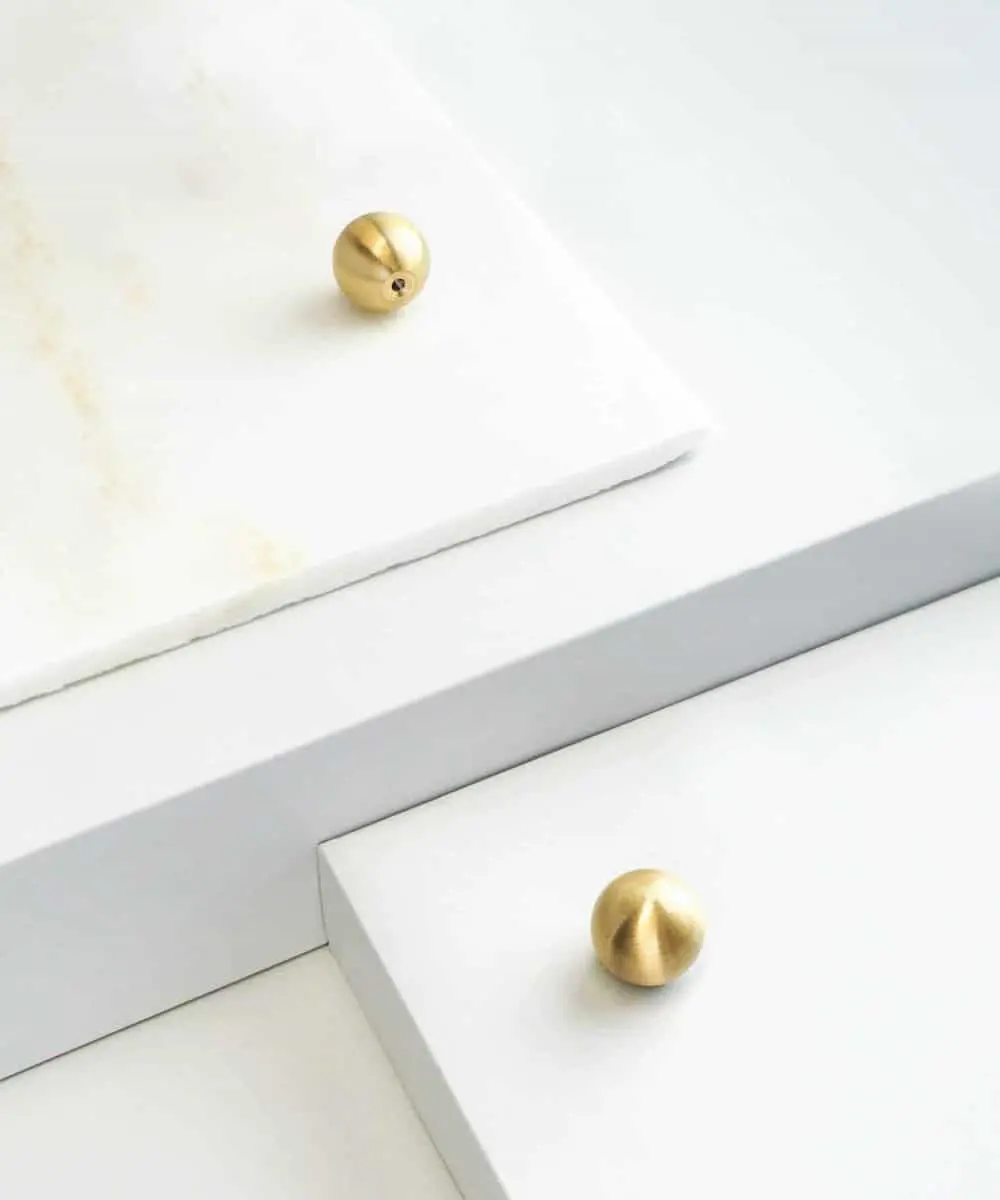 Violetta - drugi gatunek