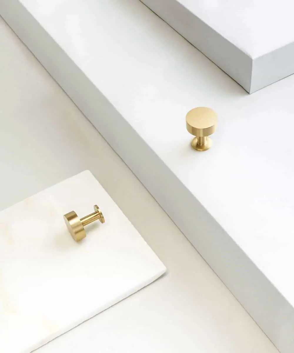 Lidia S - drugi gatunek