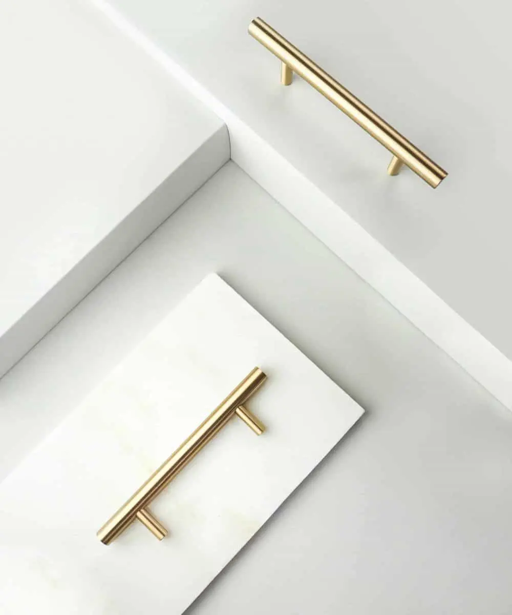 Theresa - drugi gatunek