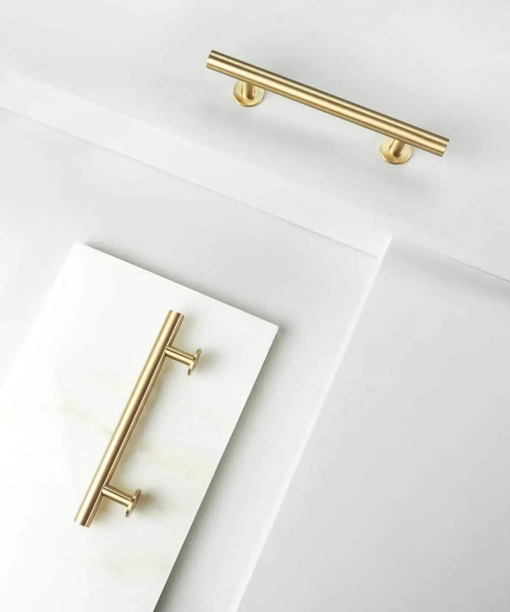 Lidia L - drugi gatunek