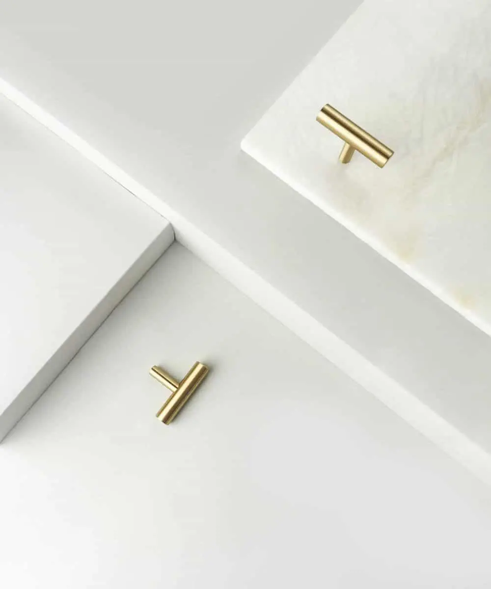 Theresa S  - drugi gatunek