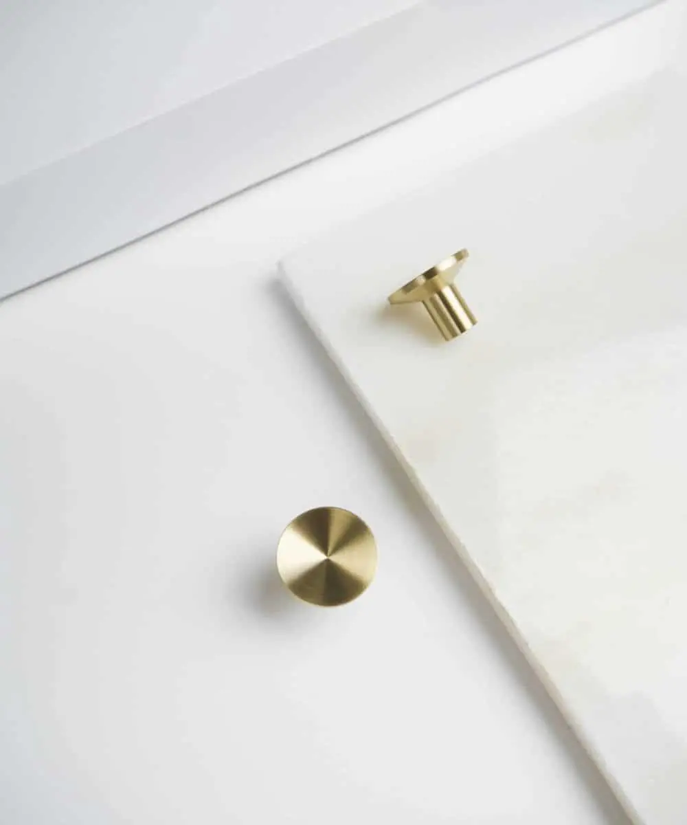 Laura - drugi gatunek