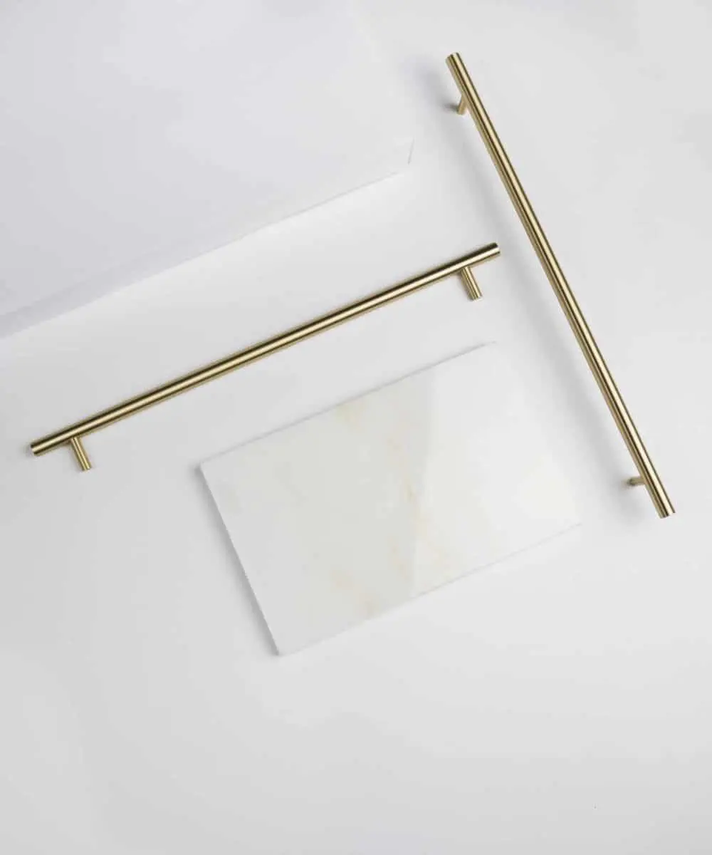 Theresa XL - drugi gatunek