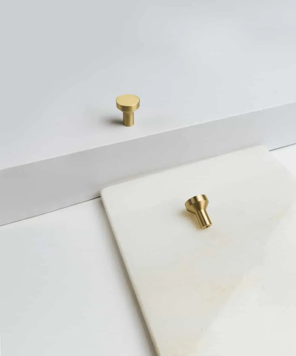 Rebecca - drugi gatunek